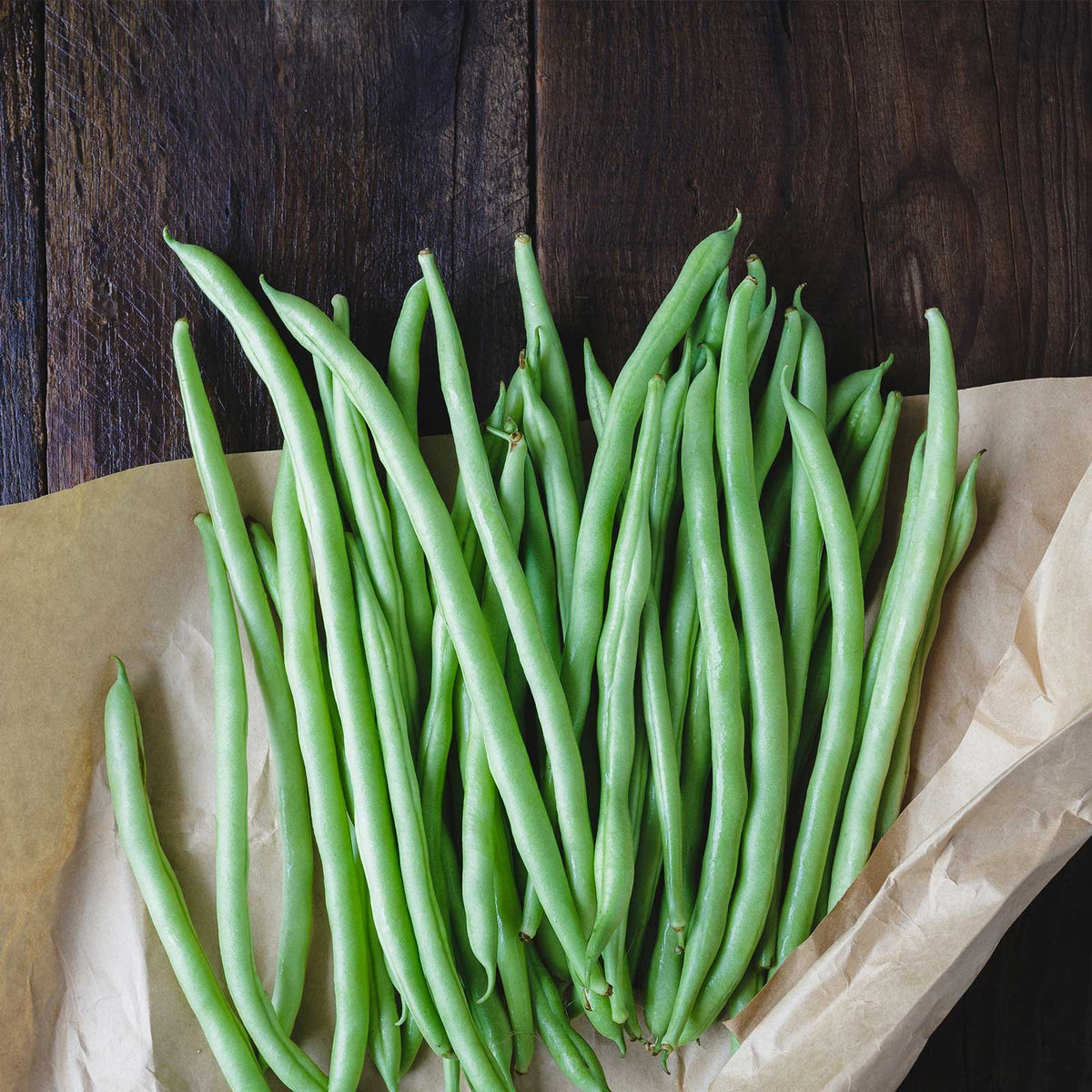 Mountain Valley Seed Blue Lake bush bean pods ready to harvest in a sunny garden.