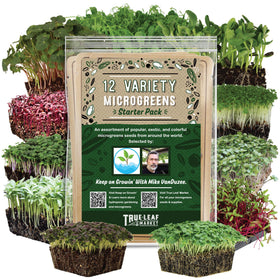 Mountain Valley Seed Co broccoli sprouting microgreens deliver quick harvest and crisp flavor.