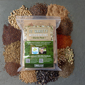 Mountain Valley Seed Co pak choi microgreens offer mild, crunchy leaves for wraps.