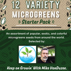 Mountain Valley Seed Co sunflower microgreens bring nutty sweetness and sturdy stems.