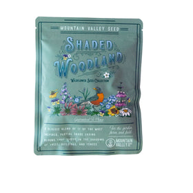 Shade-tolerant wildflowers collection for woodland borders