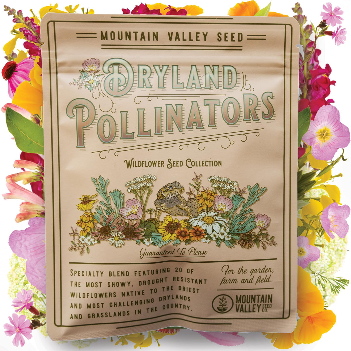 Mountain Valley Wildflower Dryland Pack ready for easy garden planting to attract pollinators.