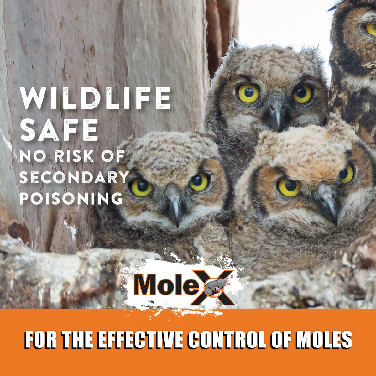 MouseX MoleX safety label emphasizes pet safety and proper handling.