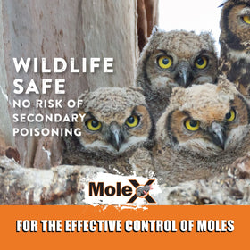 MouseX MoleX safety label emphasizes pet safety and proper handling.