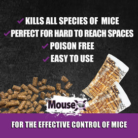 MouseX patented EPA minimum-risk solution designed for safer rodent control.