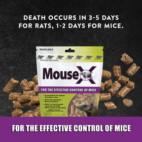 MouseX pellets placement diagram showing easy spots for rodent control.