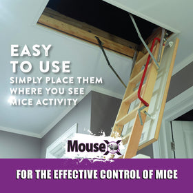 MouseX ideal for both professionals and DIY pest control.