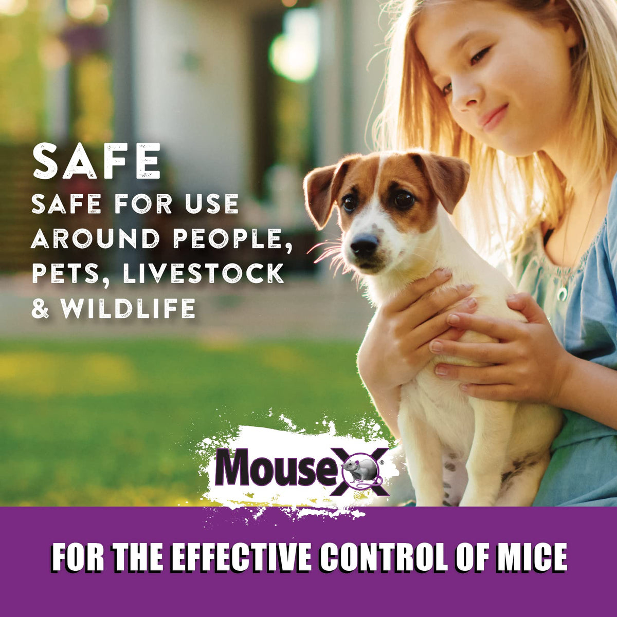 MouseX safe near people and pets, suitable for family homes.