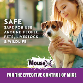 MouseX safe near people and pets, suitable for family homes.