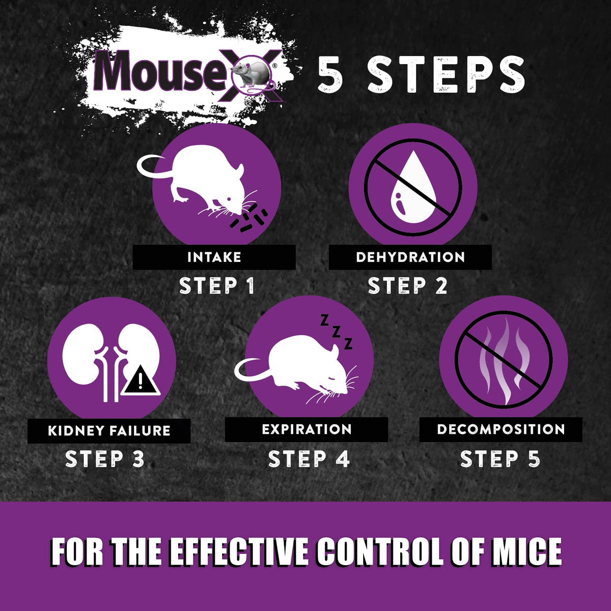 MouseX safe around people and pets for household use.