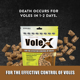 Demonstration of easy-to-use VoleX pellets in lawn application.
