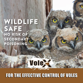 Professional and DIY users can apply VoleX year-round.
