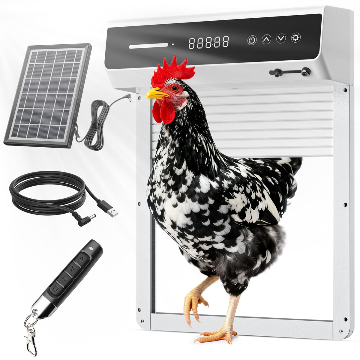 Mowei automatic chicken coop door with solar panel opens reliably at dawn.