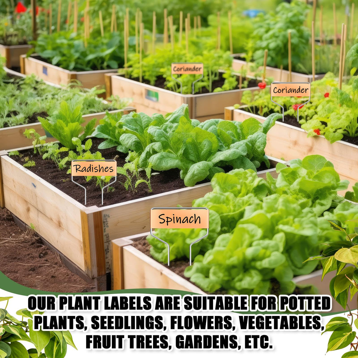 Moxweyeni labels help plan layouts for flowers and herbs.
