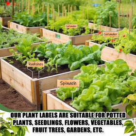 Moxweyeni labels help plan layouts for flowers and herbs.