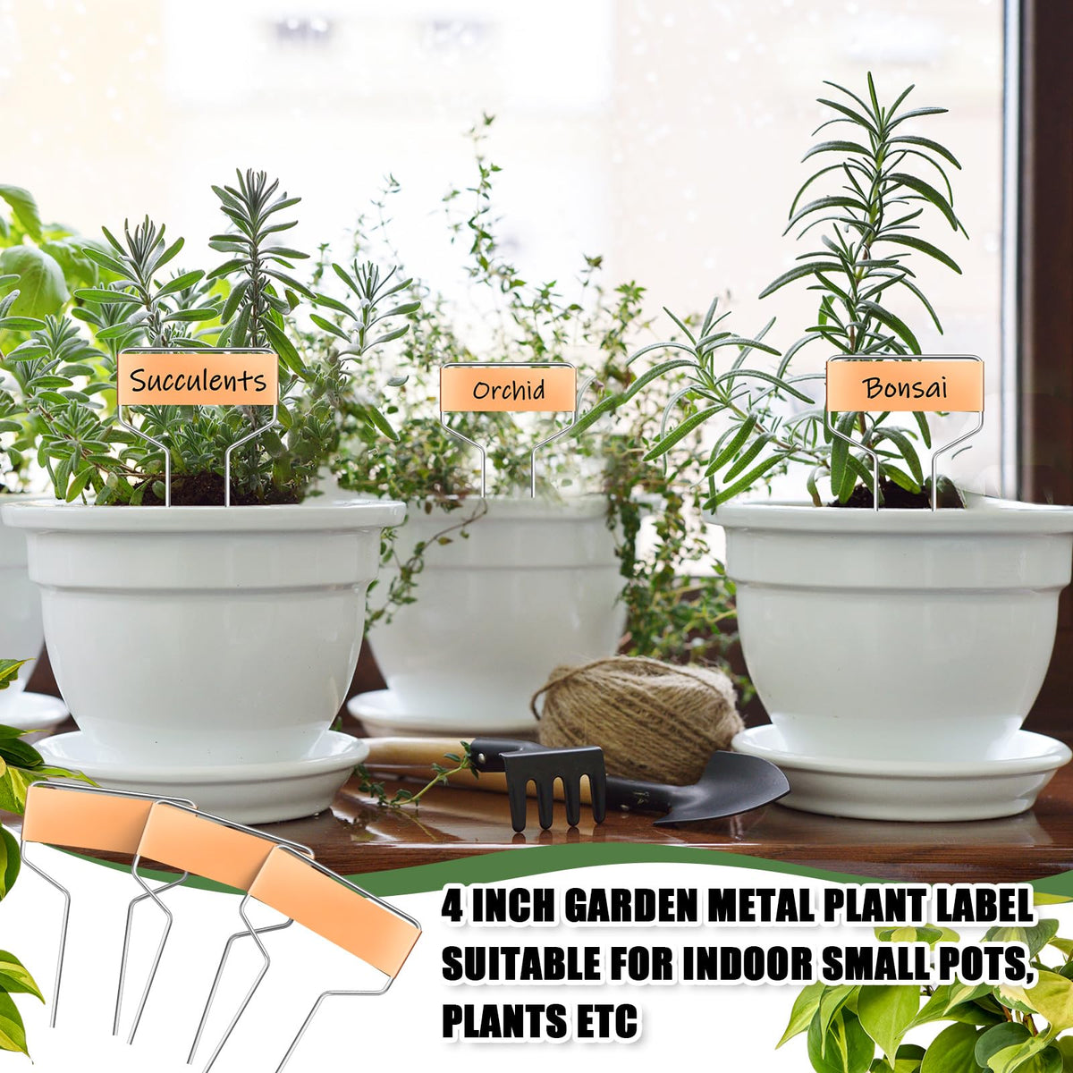 Moxweyeni metal garden labels stay legible on pots and beds.