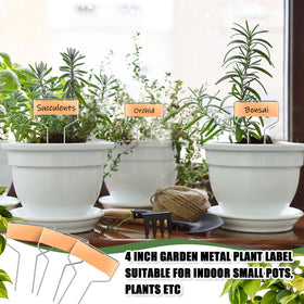 Moxweyeni metal garden labels stay legible on pots and beds.