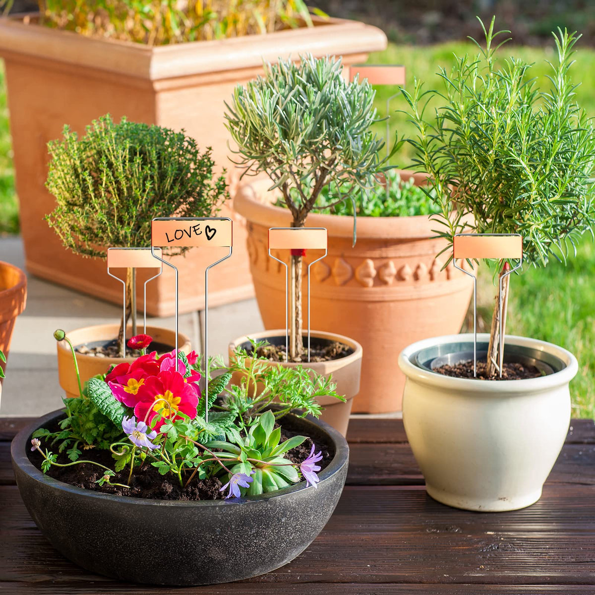 Moxweyeni metal label stake set resists bending for year-round garden labeling