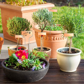 Moxweyeni metal label stake set resists bending for year-round garden labeling
