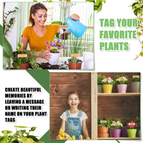 Moxweyeni reusable stakes simplify rotating crops and seasonal planting.