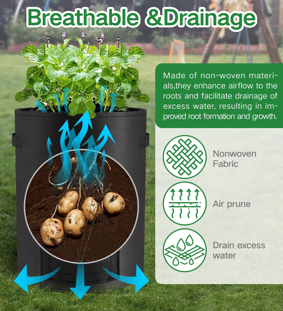 Moyios root-health design supports oxygen flow and reduce circling during growth.