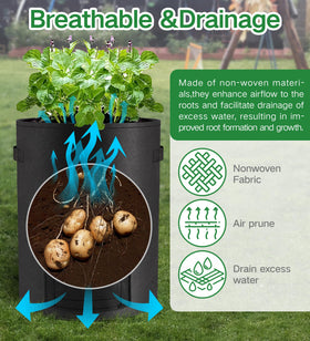 Moyios root-health design supports oxygen flow and reduce circling during growth.