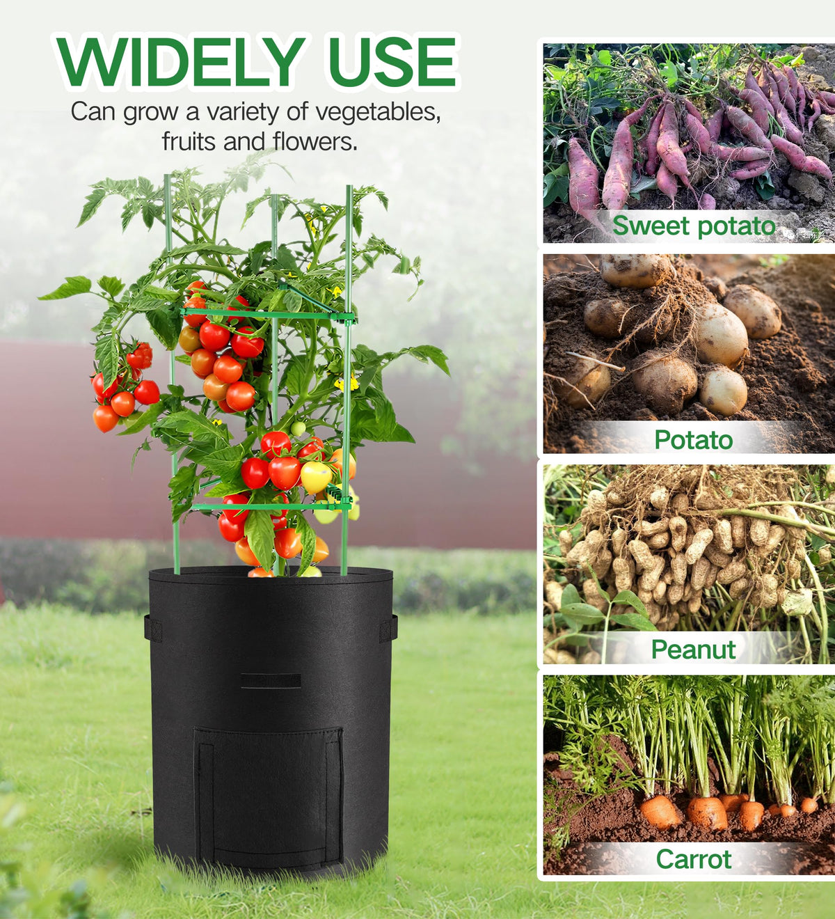 Moyios bags are foldable for compact storage after harvest.