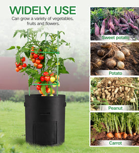 Moyios bags are foldable for compact storage after harvest.