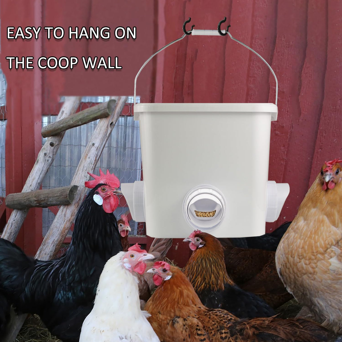 Mozoba kit in coop setup demonstrates simple installation and use