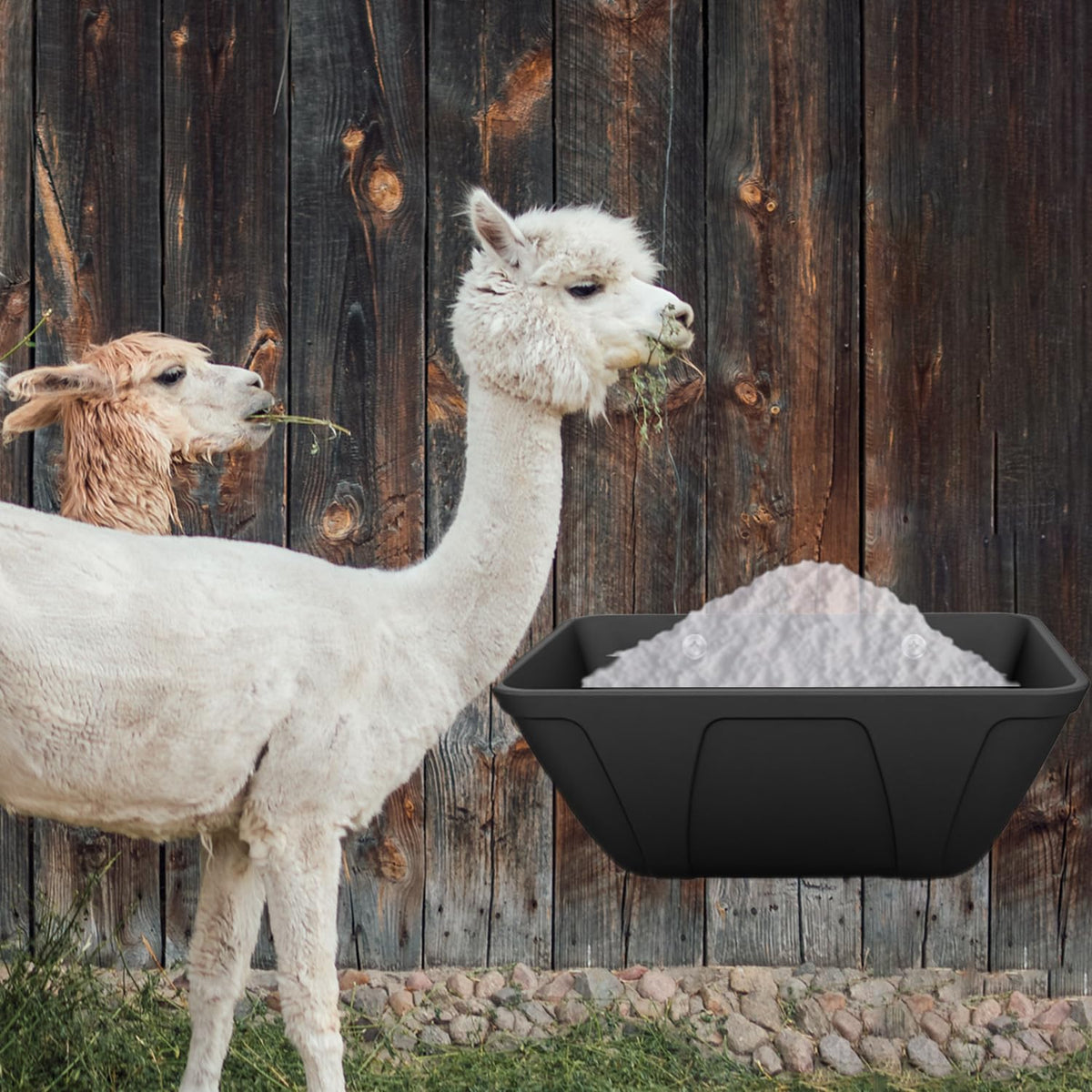 Mozoba three-piece feeder set offers versatile feeding options