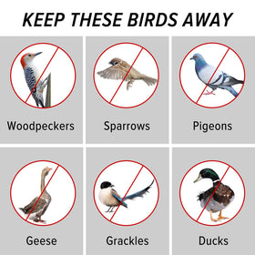 MP Mypole Bird Scare Tape installation: quick setup on rooftops, decks, or branches.