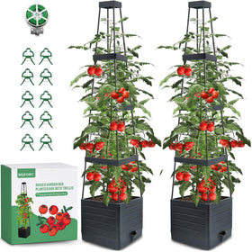 MQFORU 2-pack raised garden bed with trellis supports tomatoes with steady self-watering hydration.