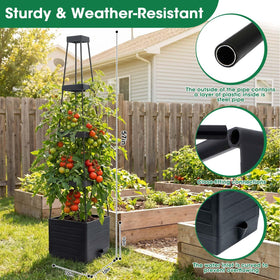 MQFORU 9.8x9.8x9.6 inch planters provide ample soil space.