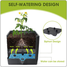MQFORU self-watering plant box with trellis for versatile growth.