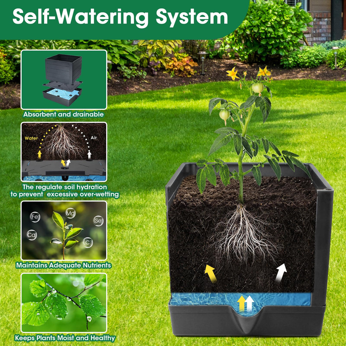 MQFORU self-watering tomato planter with bottom reservoir maintains soil moisture