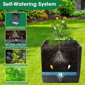 MQFORU self-watering tomato planter with bottom reservoir maintains soil moisture