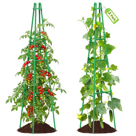 MQHUAYU 64-inch tall obelisk trellis supports climbing vines in raised beds.