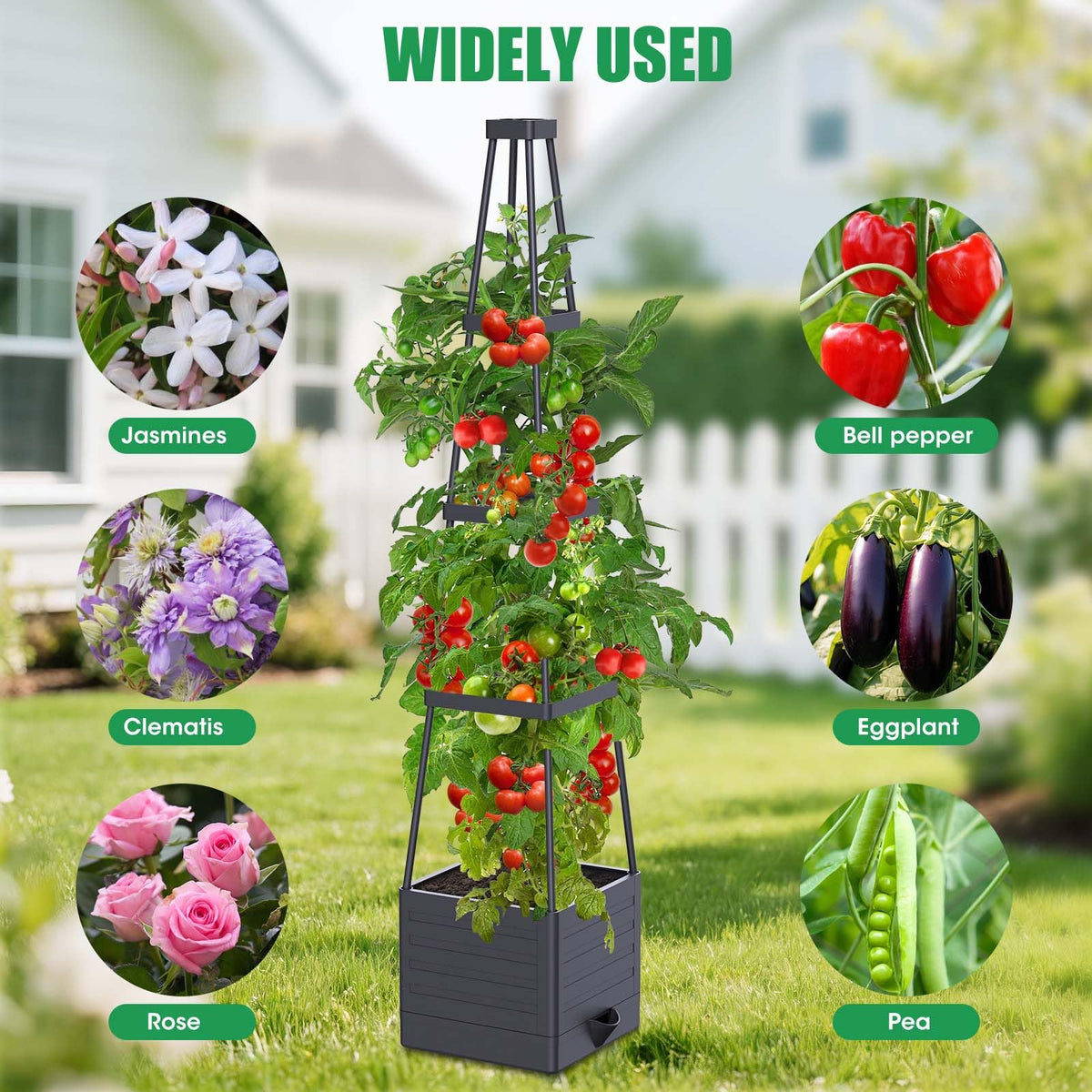 Adjustable height with 1–4 layers to adapt to growing plants