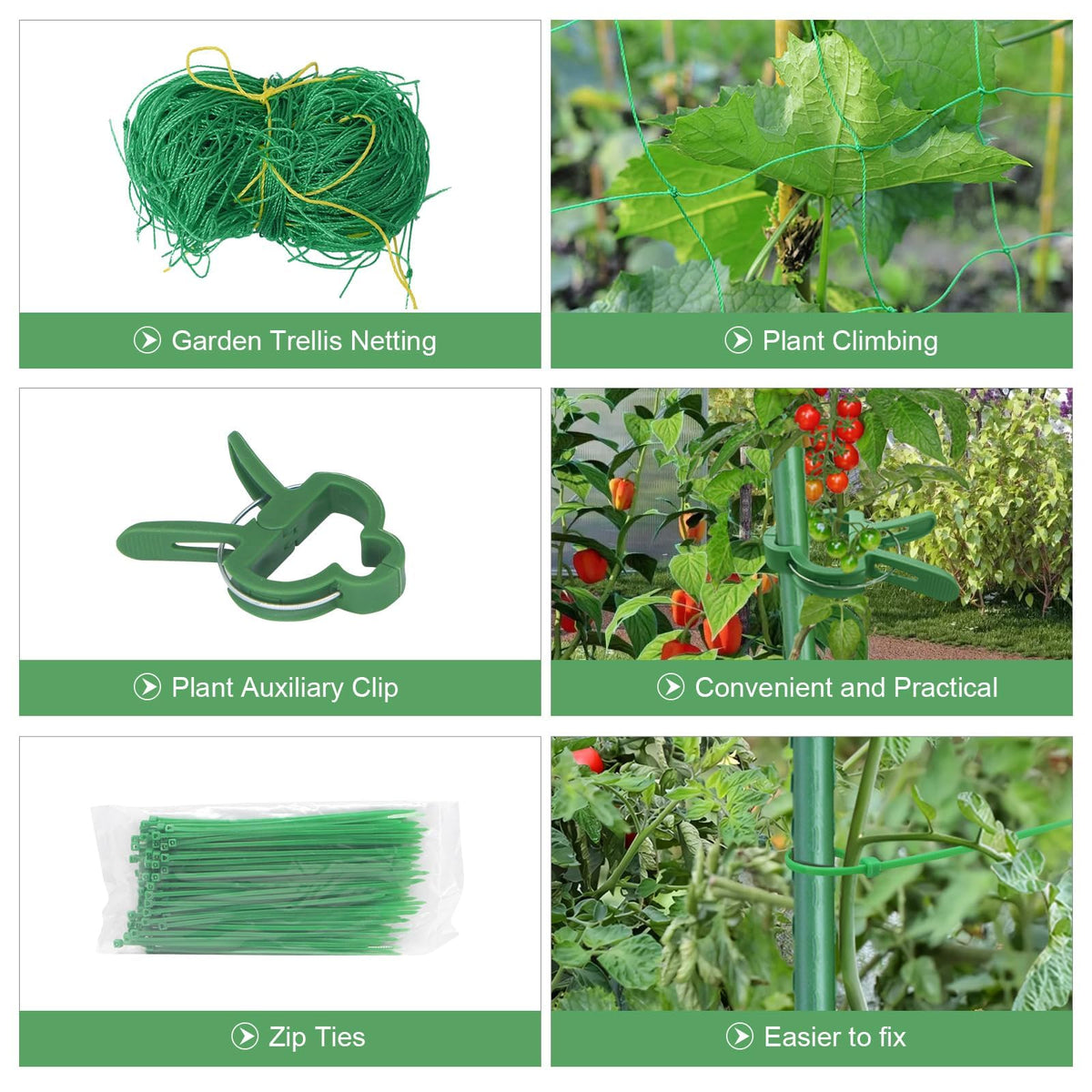 MQHUAYU climbing net designed for tomato, bean, and grape support in garden