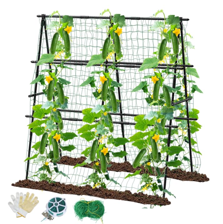 MQHUAYU cucumber trellis 47x47 assembled for sturdy climbing support