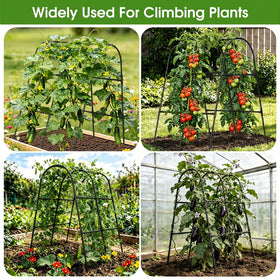 MQHUAYU cucumber trellis black finish complements garden aesthetics