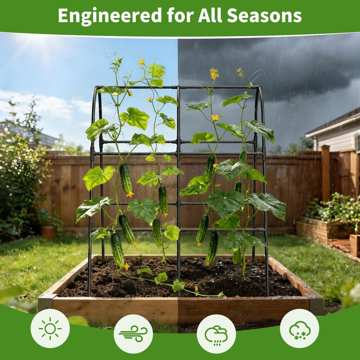 MQHUAYU cucumber trellis dimensions 47.2 by 47.2 by 21.6 inches