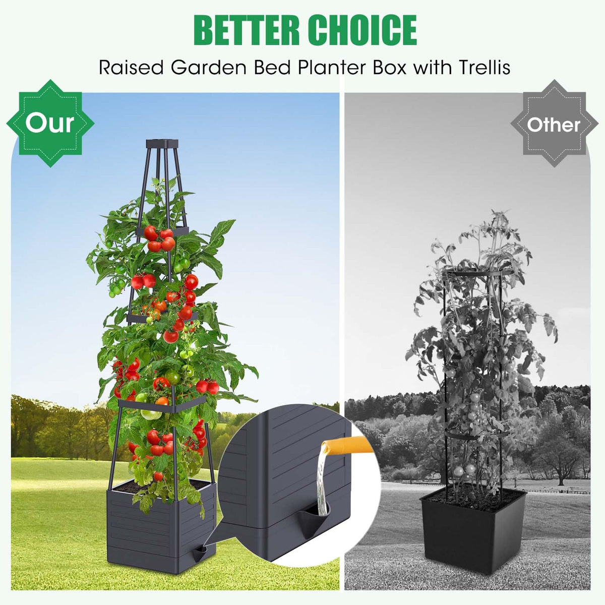 Elevated planter box provides more soil for robust root development