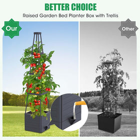 Elevated planter box provides more soil for robust root development