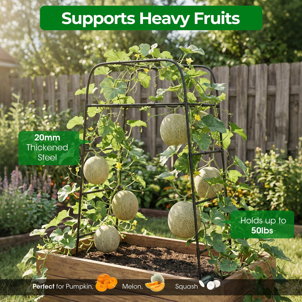 MQHUAYU Garden Arch Trellis provides a walk-through tunnel for easy pruning and harvest.