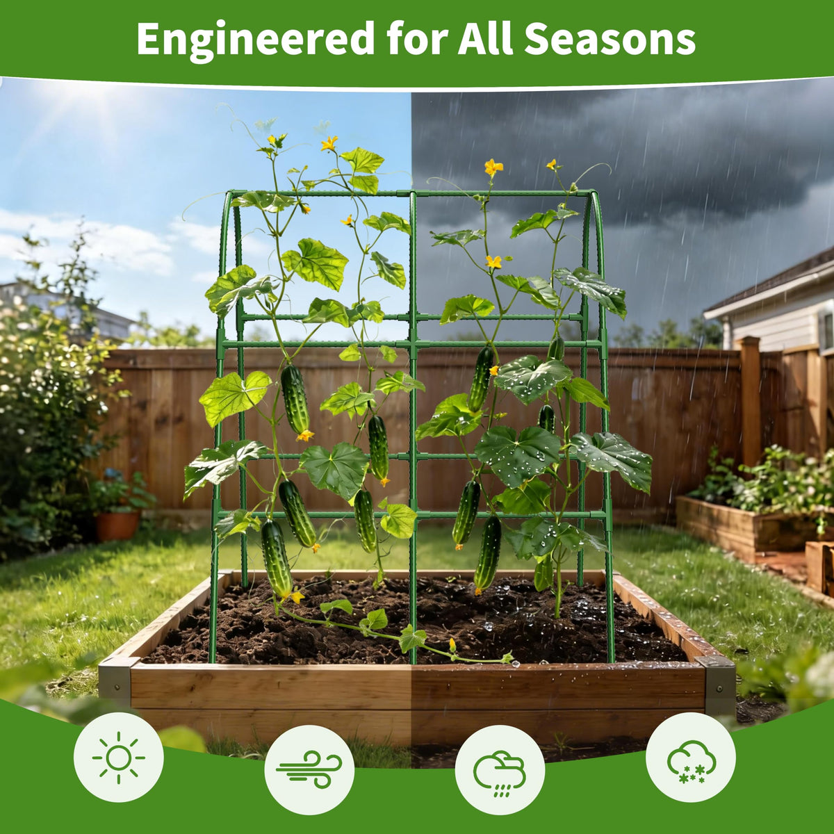 MQHUAYU garden clips secure vines while allowing growth flexibility.