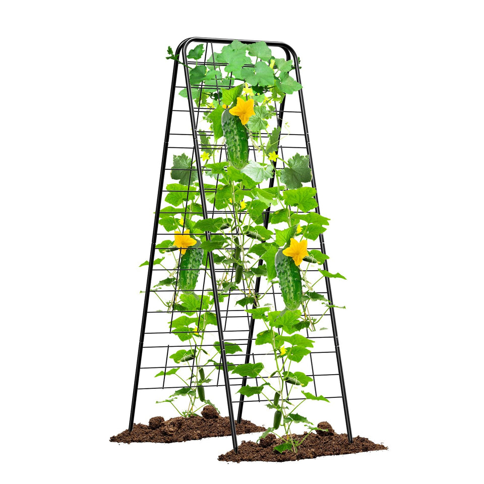 MQHUAYU heavy-duty cucumber trellis assembled with dense metal grid for strong support.
