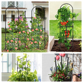 Ideal for indoor and outdoor climbing plants and vines