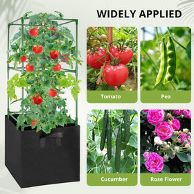 MQHUAYU indoor outdoor garden setup demonstrates versatile use in any space.