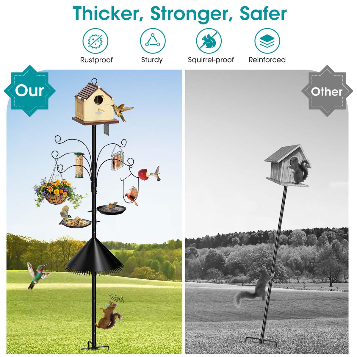 MQHUAYU mesh tray and water bowl support diverse bird snacks.